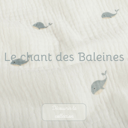 Le chant des baleines